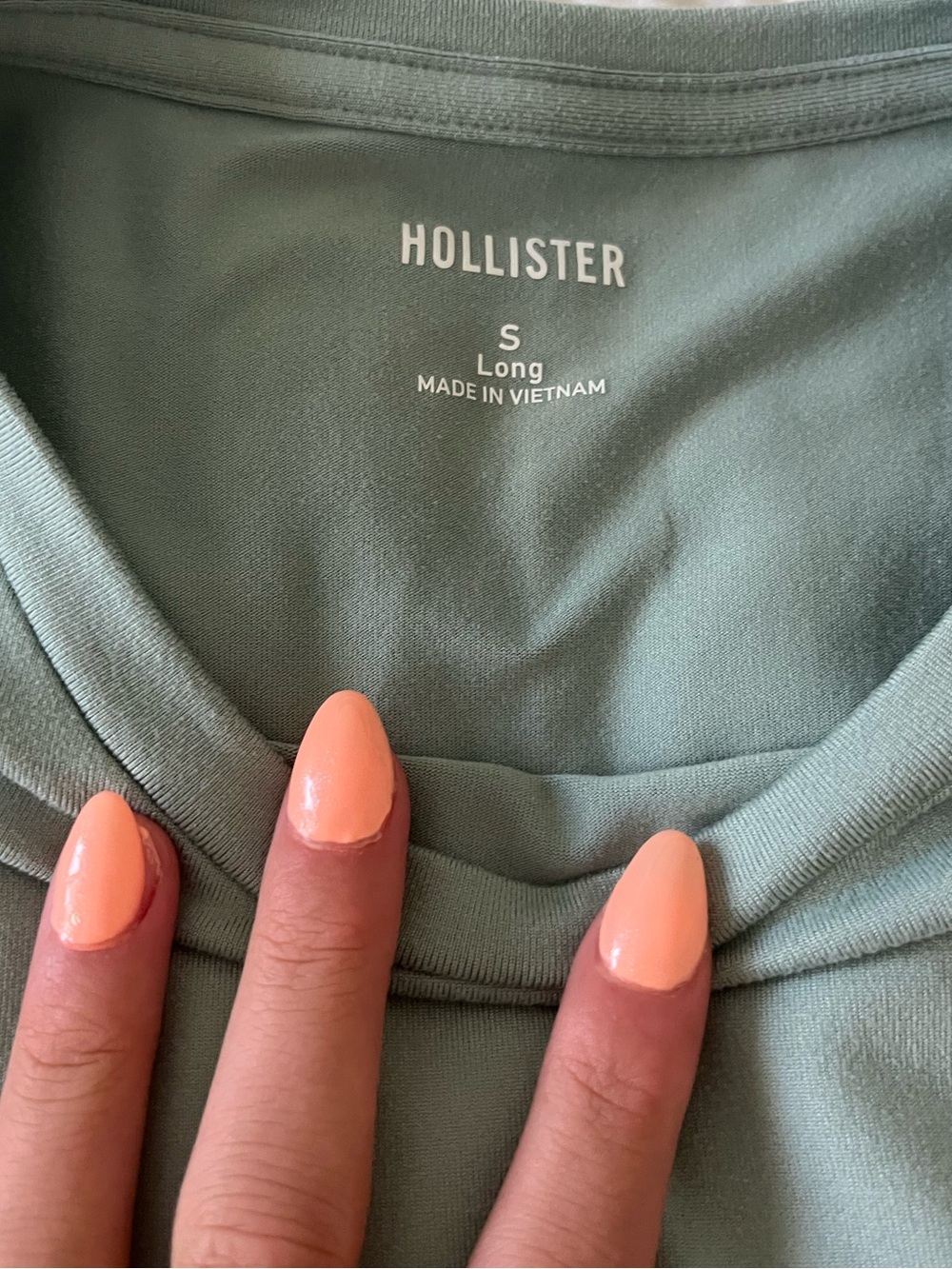 Hollister Sage Green Crewneck Fitted Top